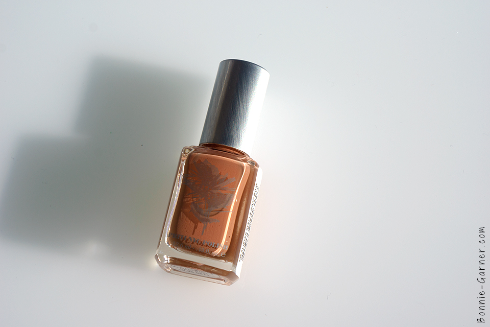 priti_nyc_nail_polish_alister_stella_gray_rose