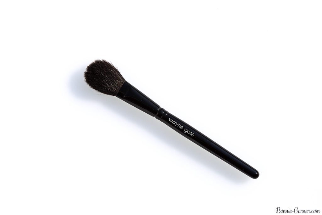 Wayne Goss The Air-Brush