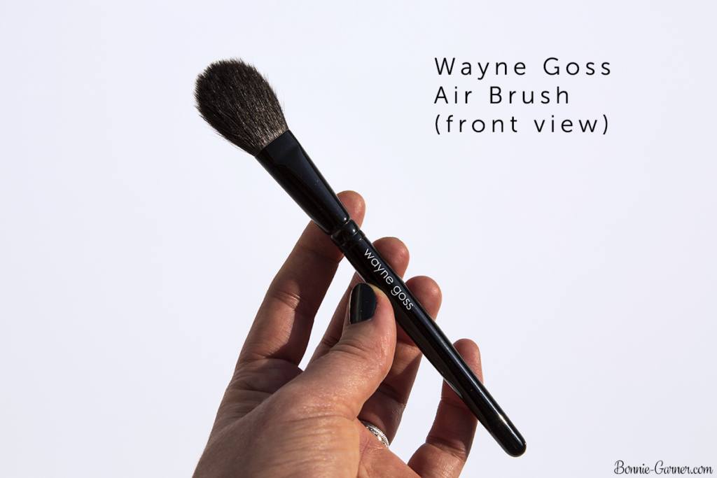 Wayne Goss The Air-Brush