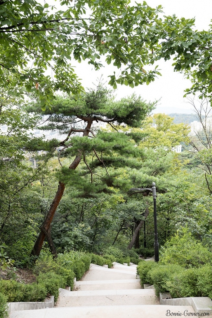 Namsan Park Seoul South Korea